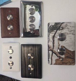 designer push button plates for dumbwaiters